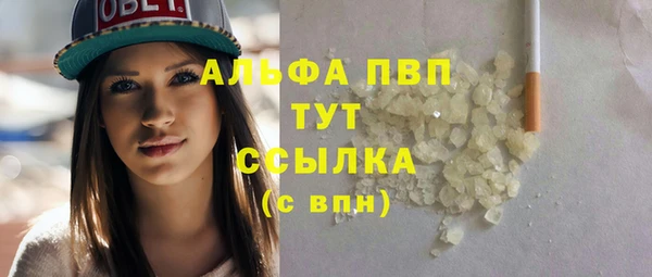 гидра Гусь-Хрустальный