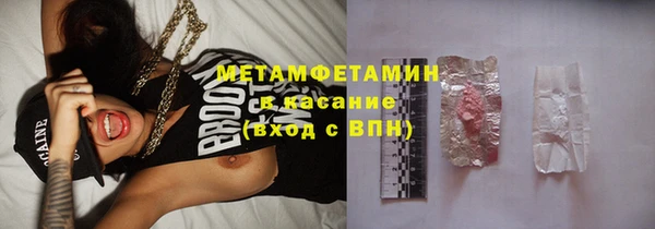 гидра Гусь-Хрустальный