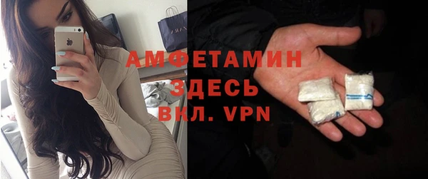 гидра Гусь-Хрустальный