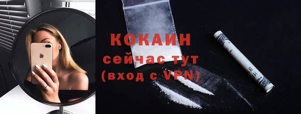 гидра Гусь-Хрустальный