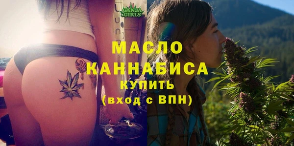 гидра Гусь-Хрустальный
