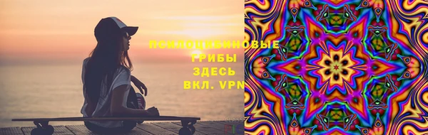 гидра Гусь-Хрустальный